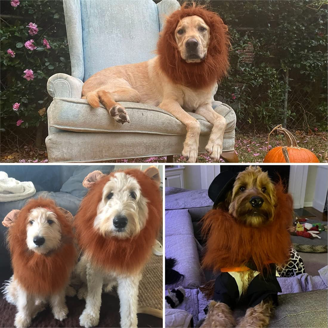 Lion Mane Dog Costume – Realistic Dark Brown Wig for Medium & Large Dogs, Perfect for Halloween