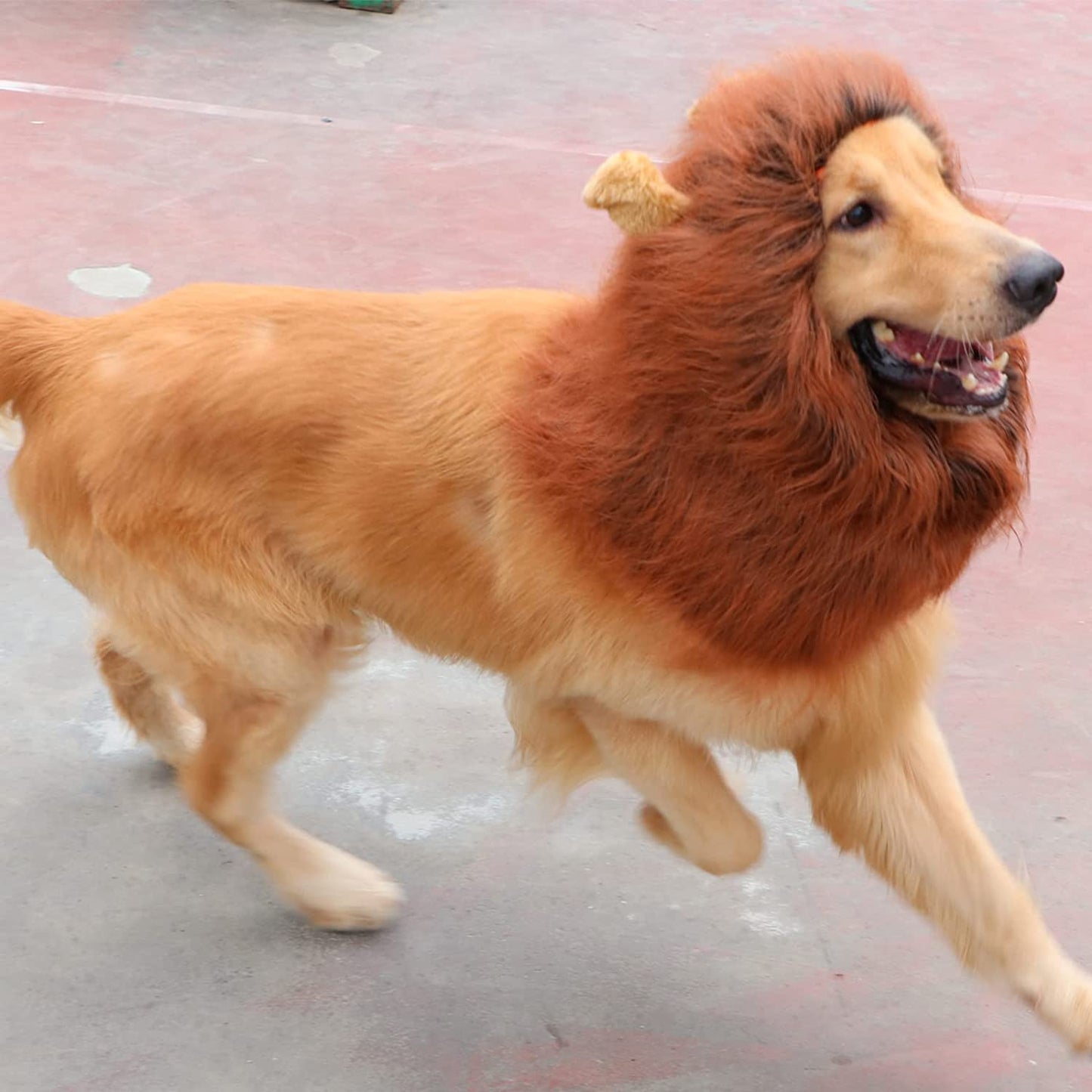 Lion Mane Dog Costume – Realistic Dark Brown Wig for Medium & Large Dogs, Perfect for Halloween