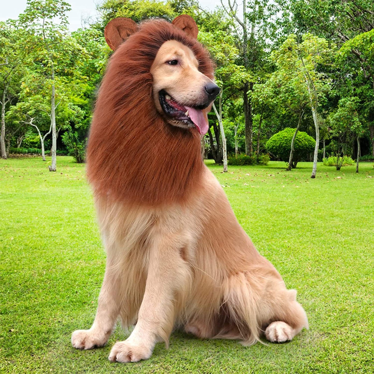 Lion Mane Dog Costume – Realistic Dark Brown Wig for Medium & Large Dogs, Perfect for Halloween
